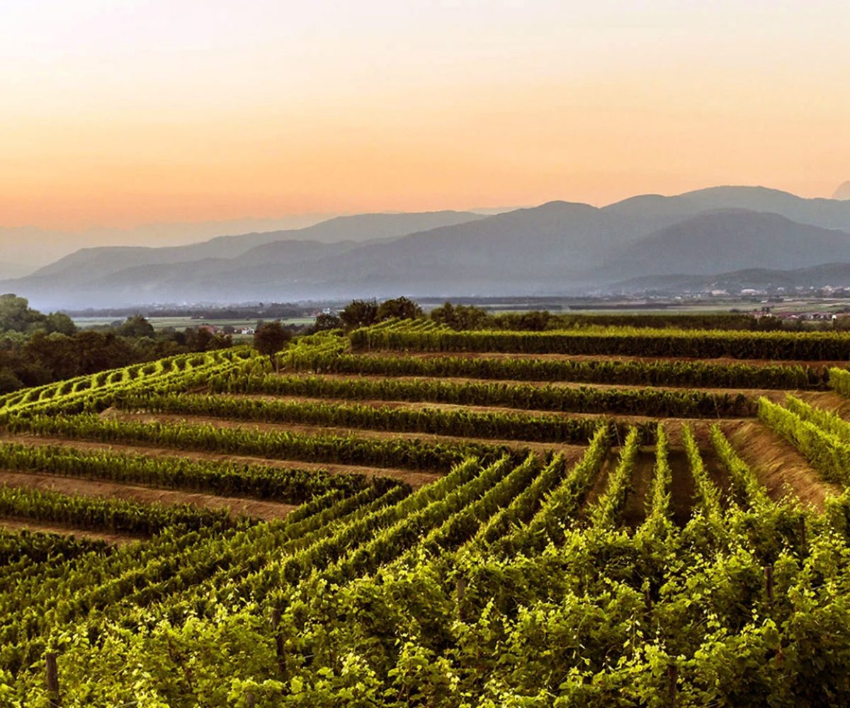 horm-stories-35-cover