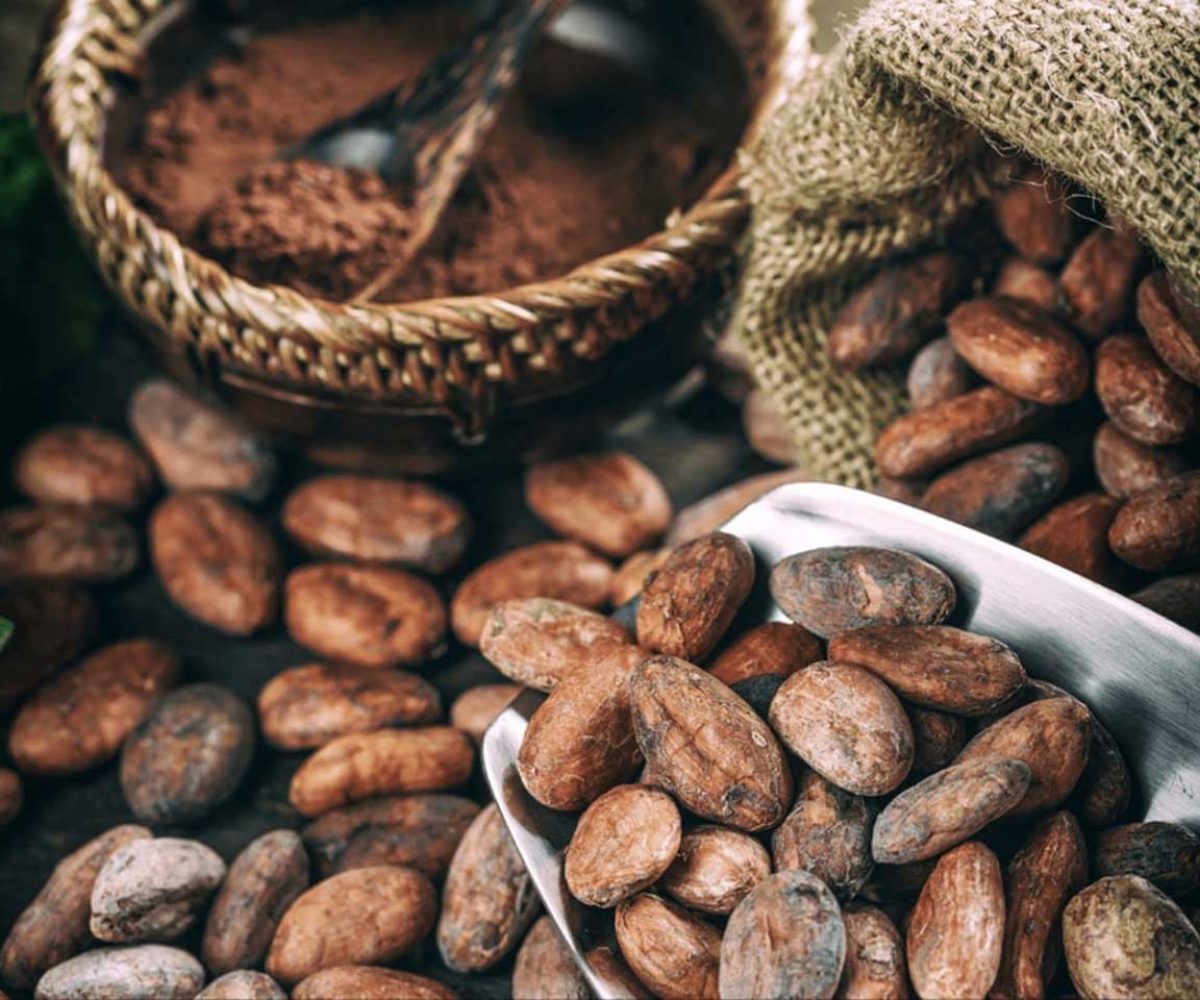 horm-stories-48-cover